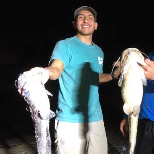 Meet your Posher, Matthew